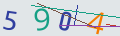 verifycode